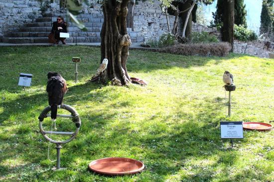 Civic Museum of Ornithology and Natural Sciences